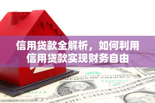 苍梧信用贷款全解析，如何利用信用贷款实现财务自由