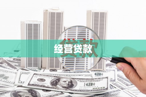 苍梧经营贷款