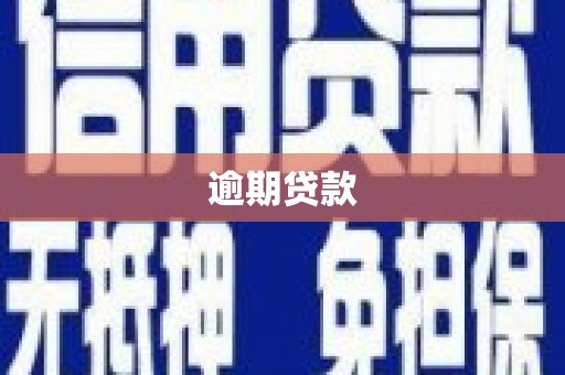苍梧逾期贷款